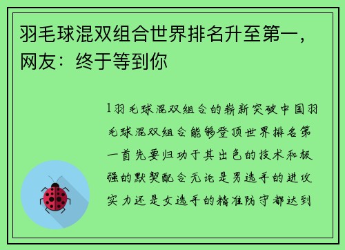 羽毛球混双组合世界排名升至第一，网友：终于等到你